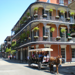 Favorite NOLA Food Tips