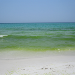 Sea Change