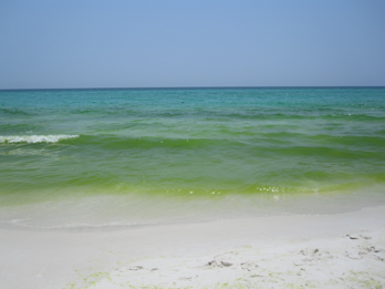 Sea Change